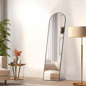 Floor Standing Mirror, Wall Mirror with Stand Aluminum Alloy Thin Frame,16''*59'',Black